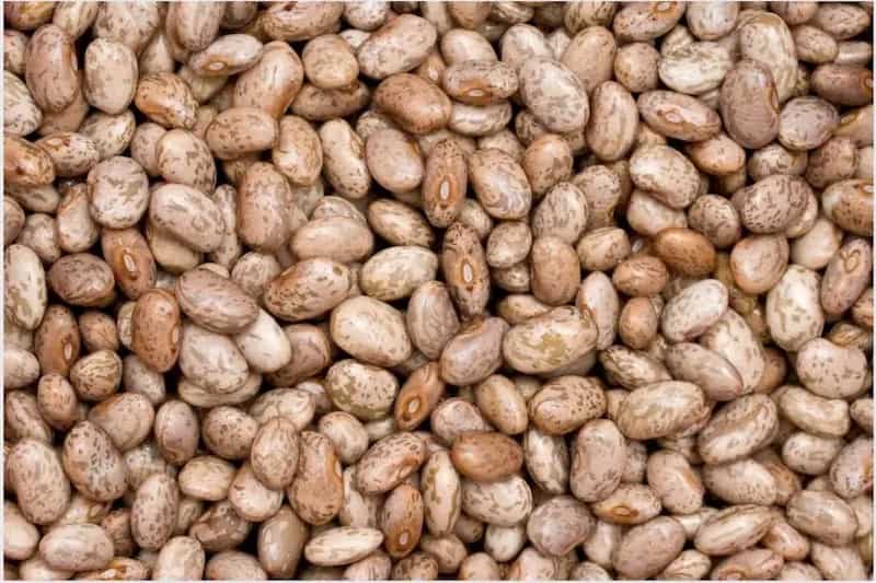 خرید و قیمت لوبیا چیتی ارگانیک + فروش صادراتی